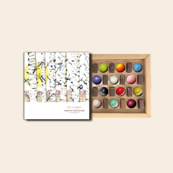 Coffret mixte 24 chocolats pour le plaisir