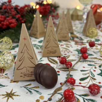Sapin de table