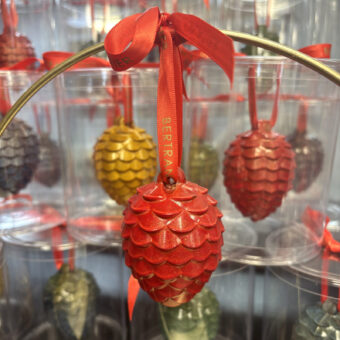 Pomme de Pin de Noël