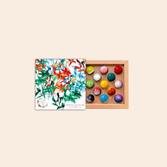 Coffret 13 dômes papier ensemencé