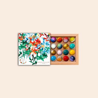 Coffret 16 dômes papier ensemencé