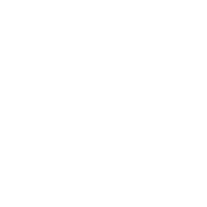 logo-blc-iut-roanne