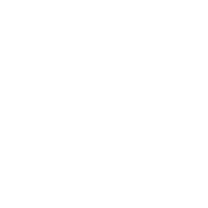 logo-blc-serfim-groupe