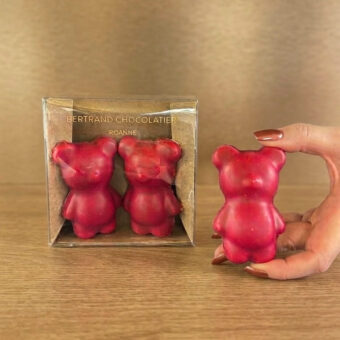 Sachet oursons guimauve chocolat framboise