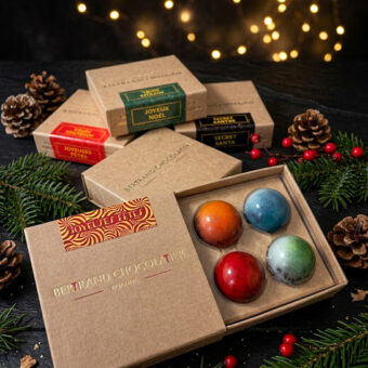 Coffret 4 dômes de Noël